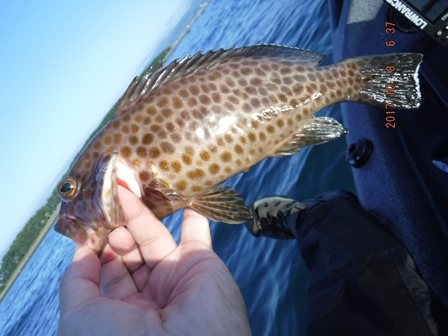 ����s����L�[�v