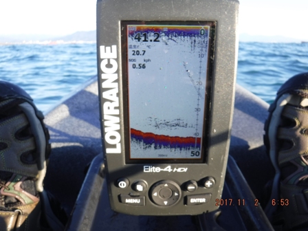 �����������Ȕ�����