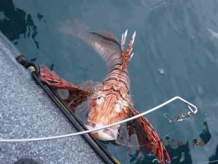 ���A�������E�E�H