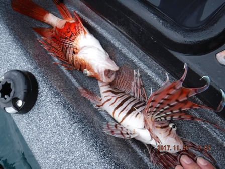 ���A����Ȃ��Ȃ���