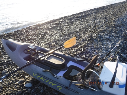 ���̏o���P���x��