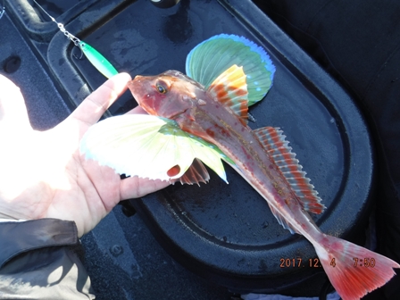 ����̊l���̓����[�X