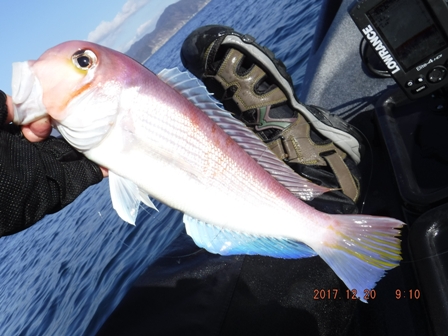 �A�J�A�}�_�C