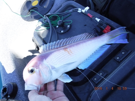 ���N�P����