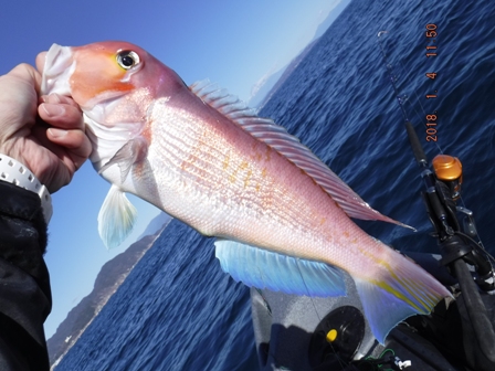 �T�C�Y�A�b�v