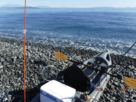 ��Ζ����ŏo��