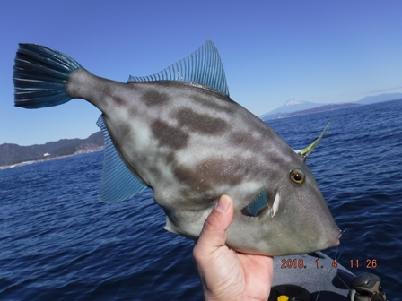 �ǌ^�E�}�d���f�d�s