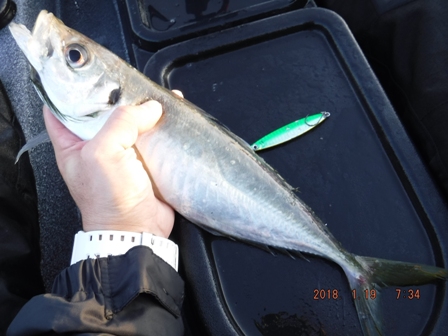 ���C���f�B�b�V��