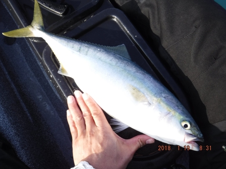 ��Ŗ���������