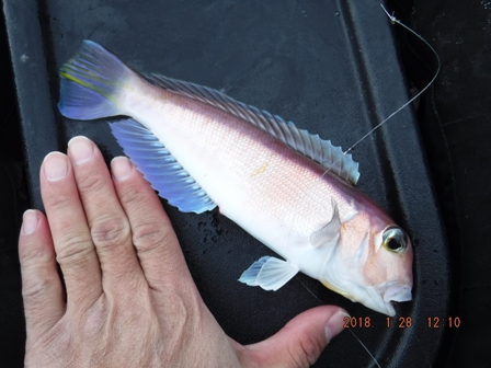 �M���M���{��