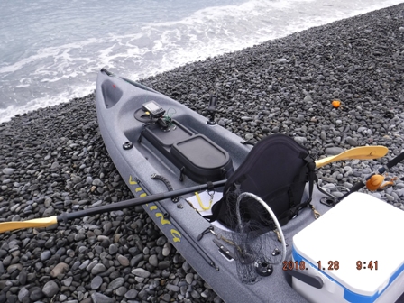 �ՎU�̕l����