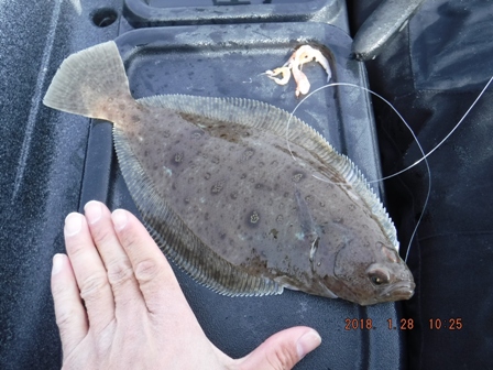 ���G����