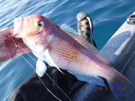 �{���f�d�s