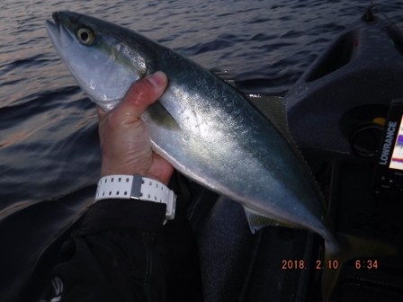 �{���P����