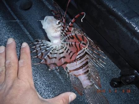 �܂��ނ�Ă��܂���