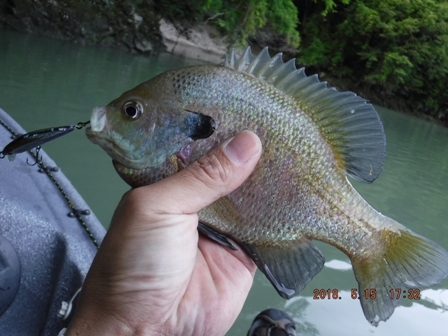 �z��O���������