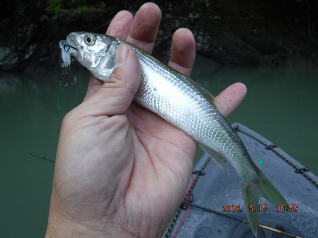 �T�C�Y�A�b�v�����邩�H