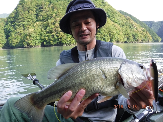 �T�g�[����̖{��