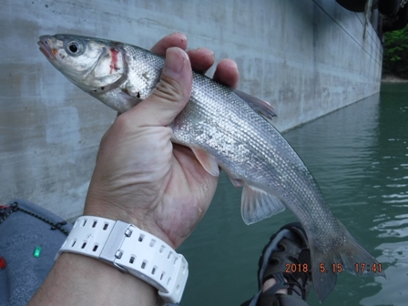 �����ɂ��������n�s�k