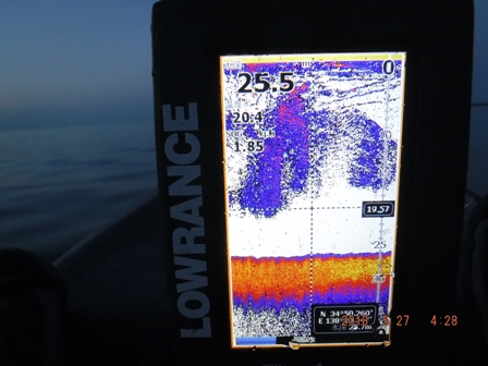 ���邼���邼�I