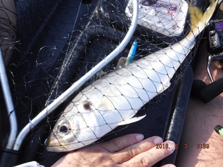 �܂������ꂪ�L�^�p�ɂȂ�Ƃ�