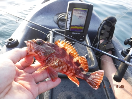 ���N���J�T�S�g�h�s