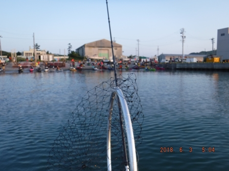 ��삯�̎��_