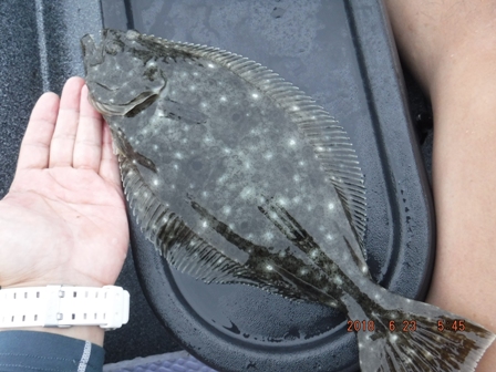 �����[�X�ς�