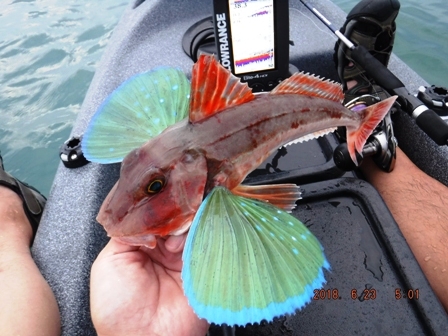 �{���P����