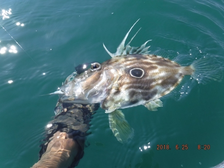 �B��̃L�[�v