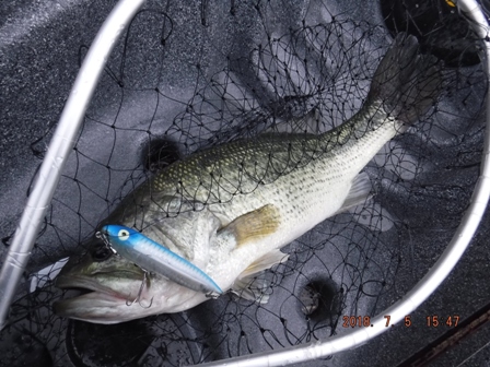 ���Ɋl�����I