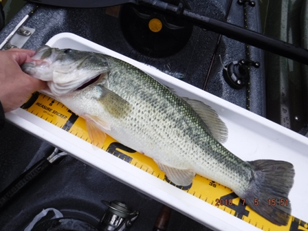 �����̈�C