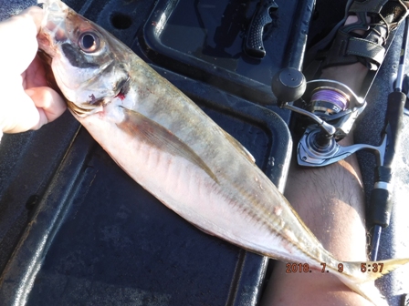 ����̎|��