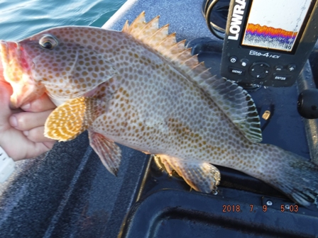 �������h�g�f�d�s