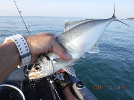 ����̔���