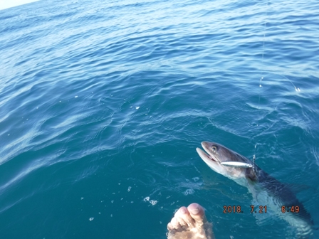 �O���ɂ��ꂽ