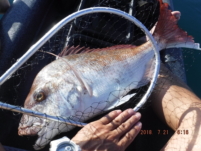 �y�Y�f�d�s