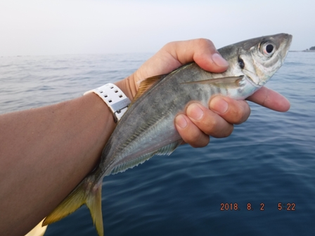 ����̊l��