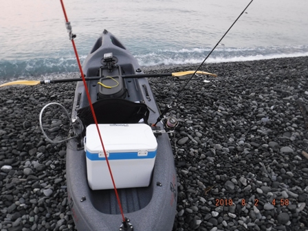 �W���P����