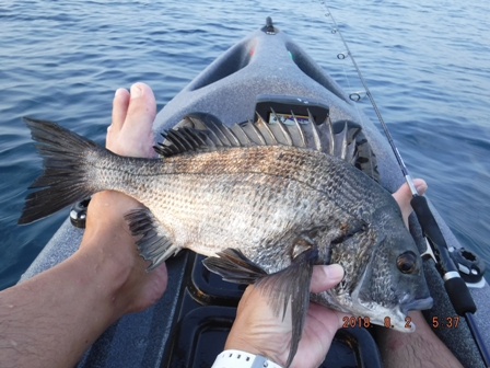 �����ł͏��މ�