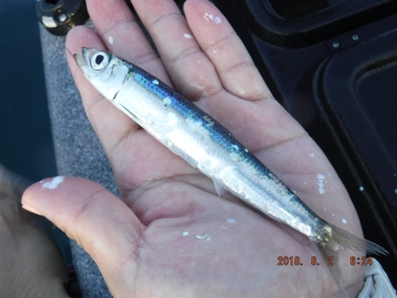 �^�̗ǂ��ɂ��ăL�[�v