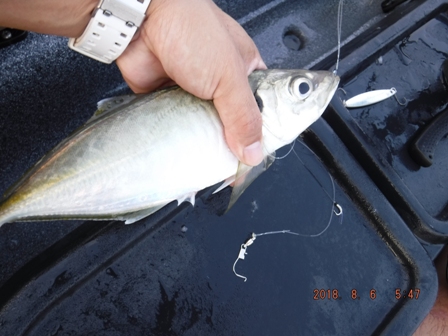 �X�i�b�v���L�т�