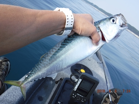 �v�X�̑�O��