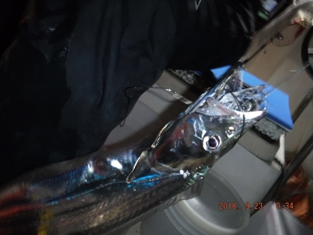 ������^�f�d�s