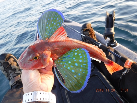 �v�X�̊l��