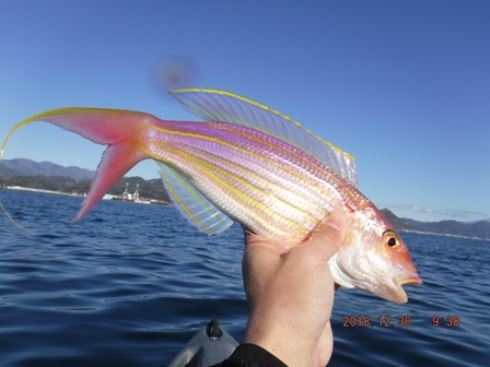 �{���f�d�s