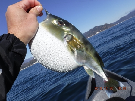 ���߂̓T�o�t�O���E�E�B